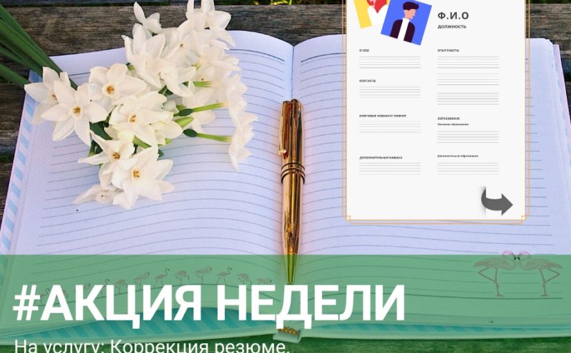 Скидка на услугу: Коррекция резюме.